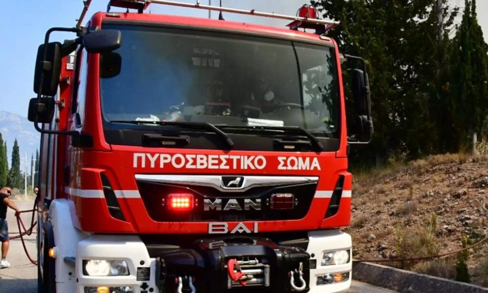 Σε ύφεση η φωτιά στο Άνυδρο Μεσσηνίας